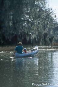 Canoers on Cross Creek