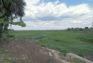 Orange Lake