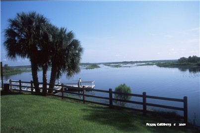 Orange Lake Overlook