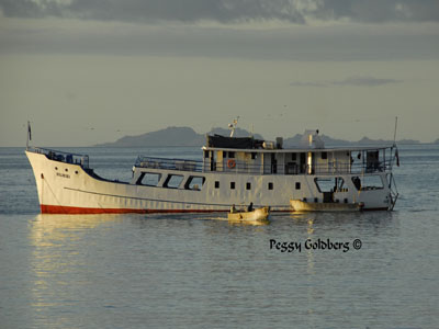 The Solomon Islands