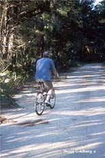 Bicycling in Steinhatchee