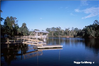 Docks at Steinhatchee Landing